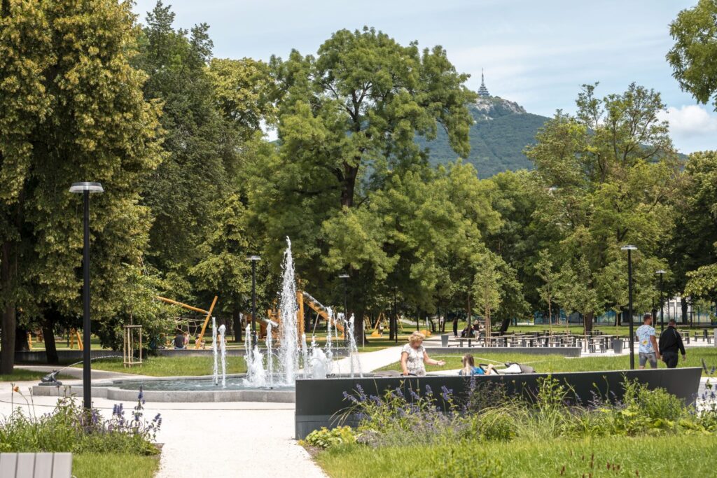 Stary-park-1-1536x1024